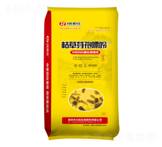 �ݲ�ѿ������-��������