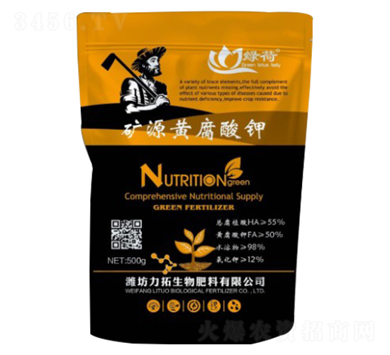 �VԴ�S�����-��������