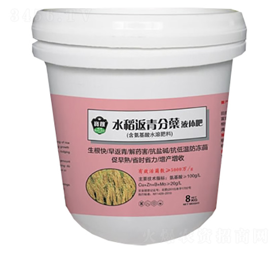 水稻返青分蘗液體肥-龍馬寶稼肥業(yè)