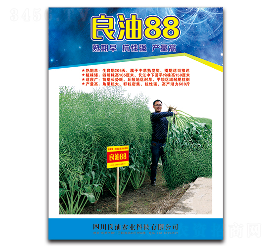 良油88-油菜種子-德名種業(yè)