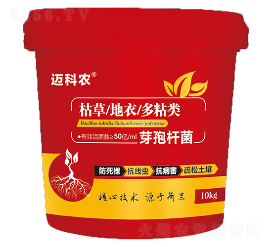 ѿ�ߗU��-�~���r(n��ng)-�Έ�����