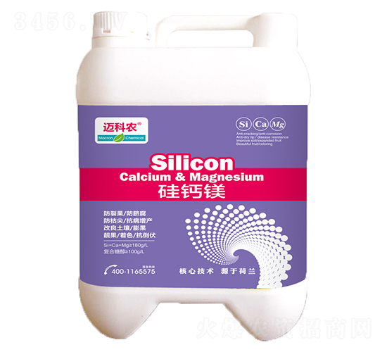 ���}�V-�~���r(n��ng)-�Έ�����