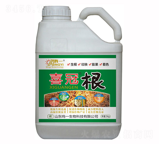 喜冠·根-鳴一生物