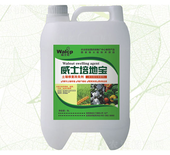 ����������-��ʿ��،�-����