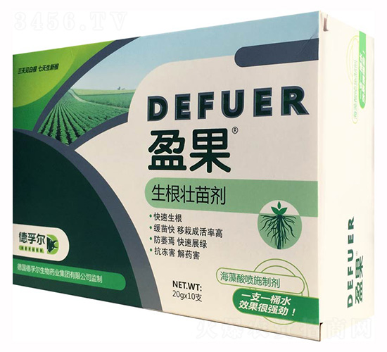 �������焩-ӯ��-���ڠ�