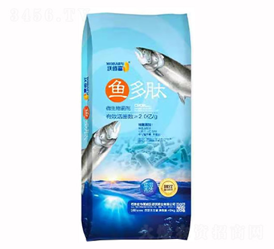 �~����΢����������{(l��n)��-���ַʘI(y��)