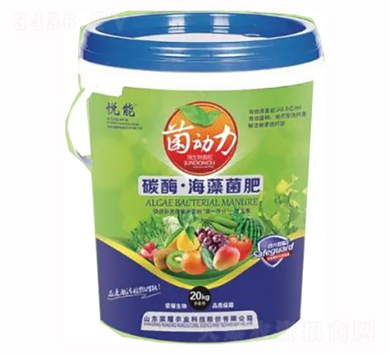 ̼ø���������-�sҫ�r�I(y��)