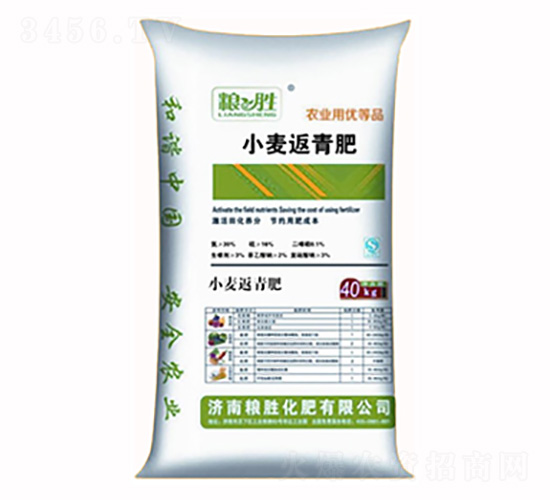 С�������-�Z�ٻ���