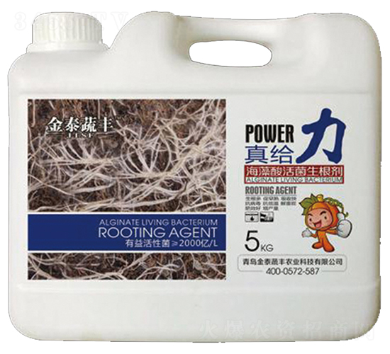 藻酸活菌生根劑-真給力-金泰蔬豐
