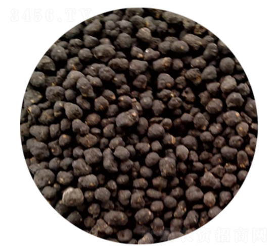 �l�����ЙC��4-3-3-�|�����B(t��i)