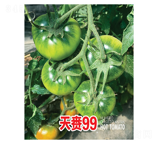 天賚99-忠農(nóng)坤創(chuàng)