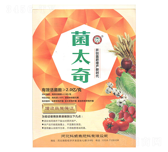 ��̫��-����̩