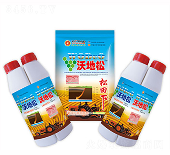 �ֵ���-ʢ������