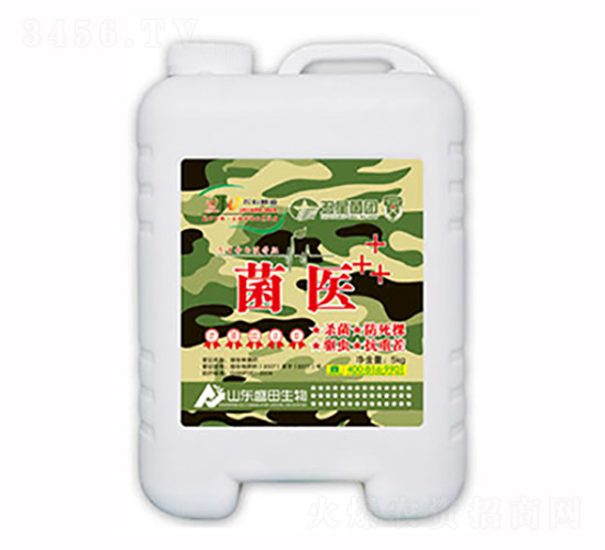 ���t(y��)-ʢ������