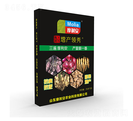 地下塊莖增產(chǎn)領(lǐng)秀-摩利安