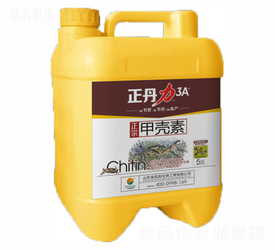 �ך���-������-���P�(y��ng)