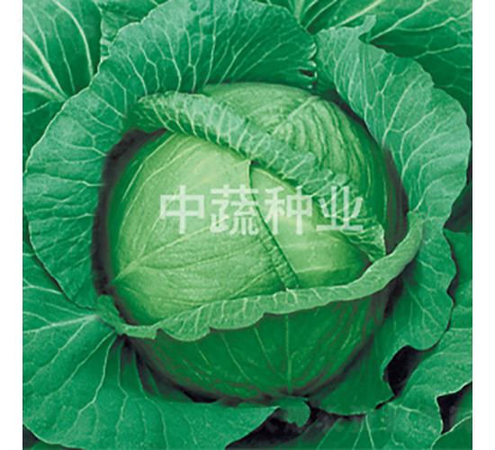 ���Բ����c�S-���{(l��n)�N��-���߷N�I(y��)