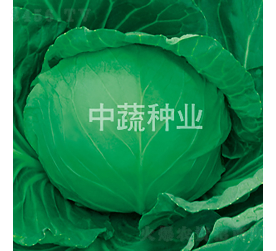 �и�23-���{�N��-���߷N�I(y��)