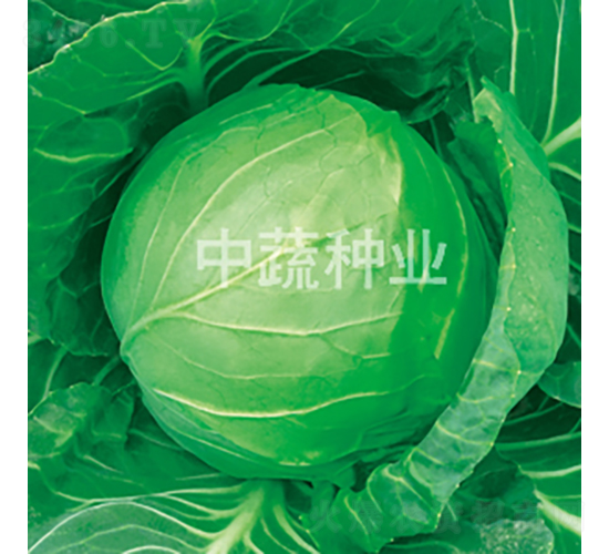 �и�28-���{(l��n)�N��-���߷N�I(y��)