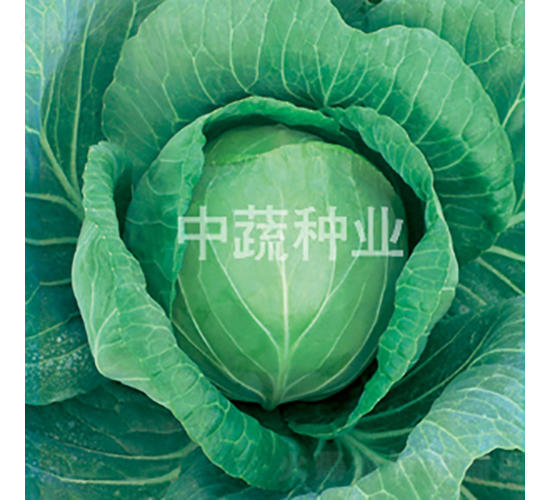 �и�588-���{(l��n)�N��-���߷N�I(y��)