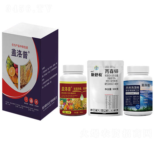 �ײͰ�-�w����-�κ��r(n��ng)�I(y��)