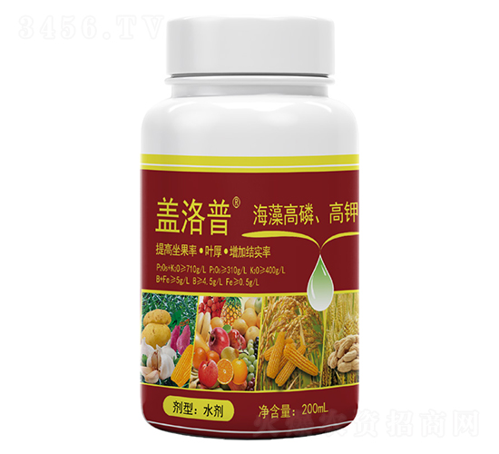 ������׸�⛷�-�w����-�κ��r(n��ng)�I(y��)