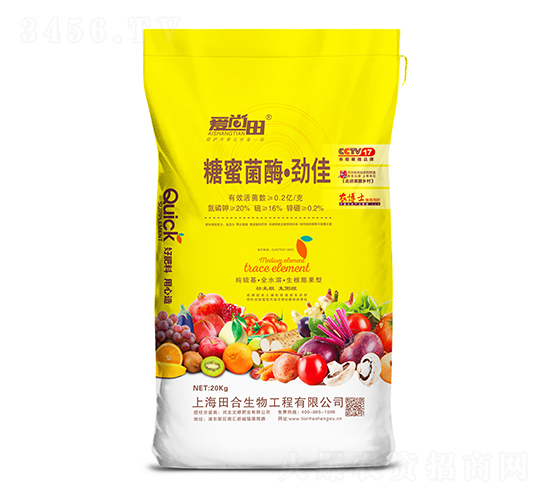 ���۾�ø���ż�-��(��i)����-�������