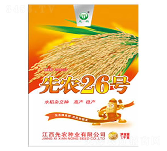 先農(nóng)26號(hào)-水稻種子-先農(nóng)種業(yè)