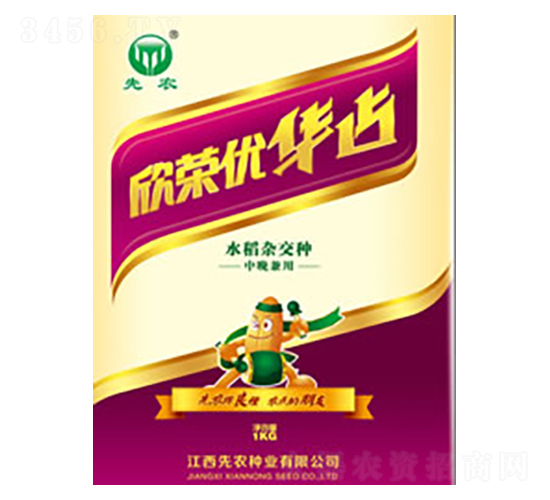 欣榮優(yōu)華占-水稻種子-先農(nóng)種業(yè)