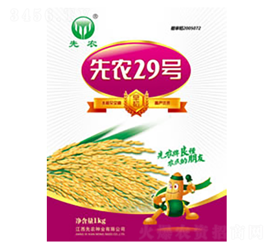 先農(nóng)29號(hào)-水稻種子-先農(nóng)種業(yè)