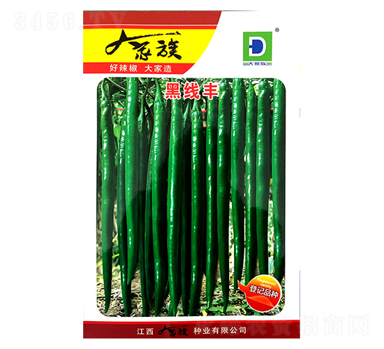 �ھ��S-�����N��-�����N�I(y��)