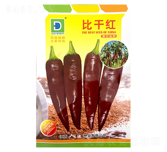 �ȸɼt-�����N��-�����N�I(y��)