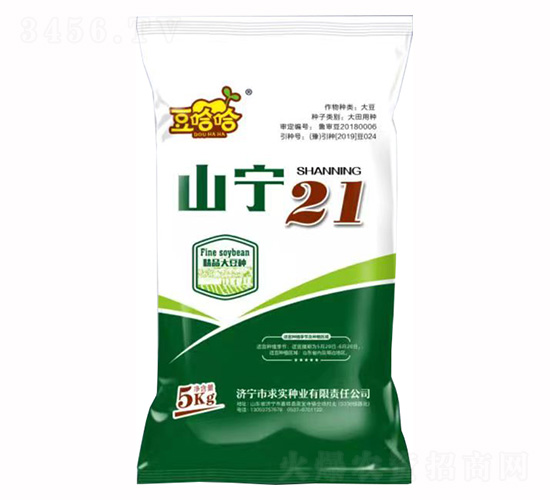 山寧21-豆哈哈-求實種業(yè)