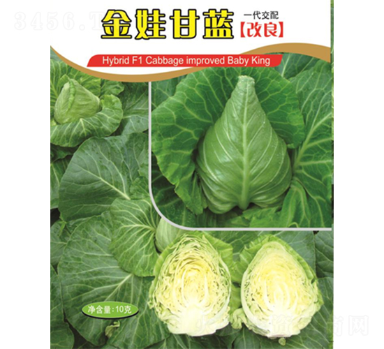 ���޸��{(l��n)-���{(l��n)�N��-�V��