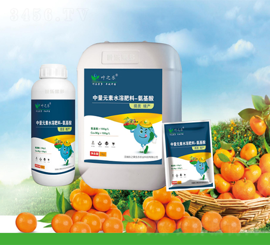 ����������Ԫ��-�~֮��-�~������