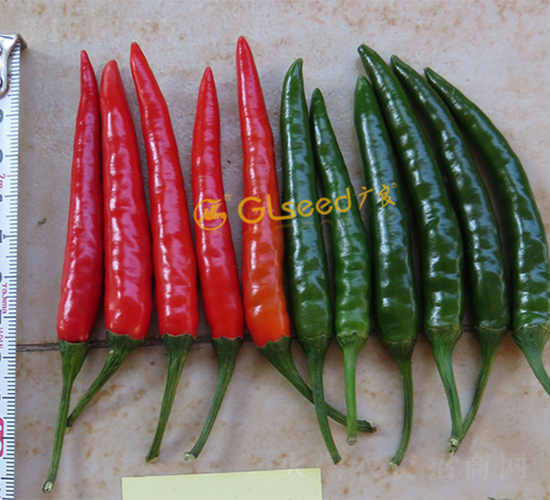 ����1̖���콷-�����N��-�V��