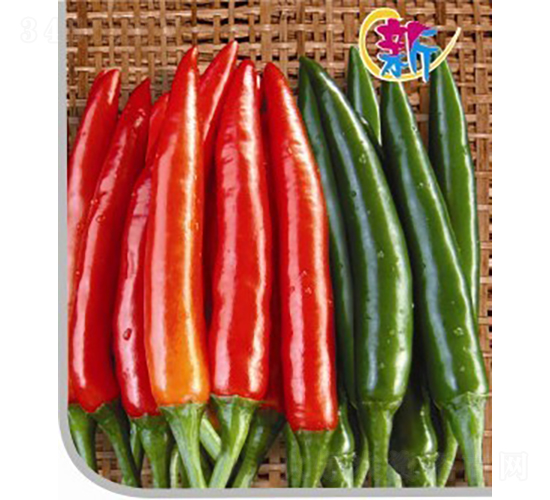 GL-9����-�����N��-�V��