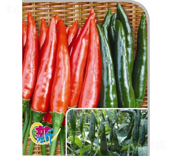 GL-10̖����-�����N��-�V��