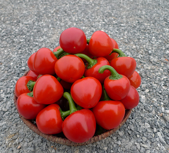 ��ؔ����-�����N��-�V��