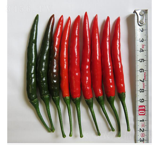 GL-23-�����N��-�V��