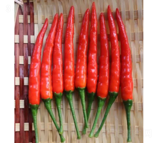 GL-37-�����N��-�V��