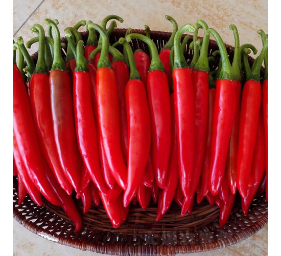 ���t-�����N��-�V��