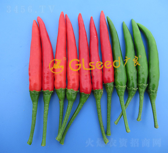 GL-56���콷-�����N��-�V��