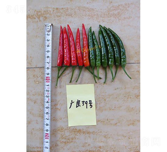 廣良39朝天椒-辣椒種子-廣良