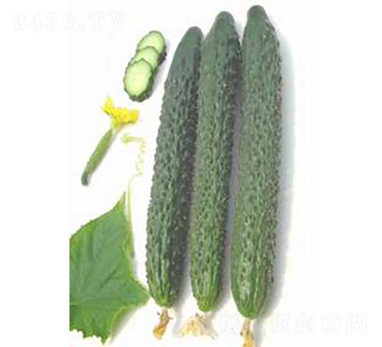 GL03-2�S��-�S�ϷN��-�V��