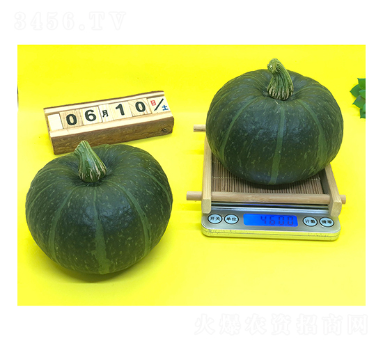 綠寶貝1號(hào)-南瓜種子-廣良