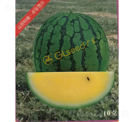 ��������-���ϷN��-�V��