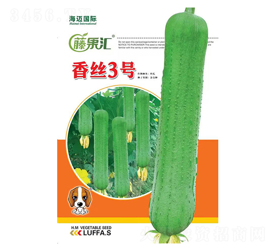 ��z3̖-�z�ϷN��-�ٹ��R-���~���H