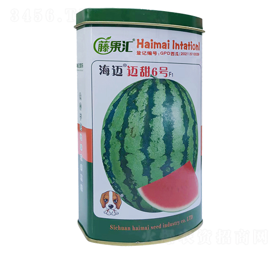 �~��6̖-���ϷN��-�ٹ��R-���~���H