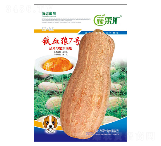 鐵血狼7號-南瓜種子-藤果匯-海邁國際